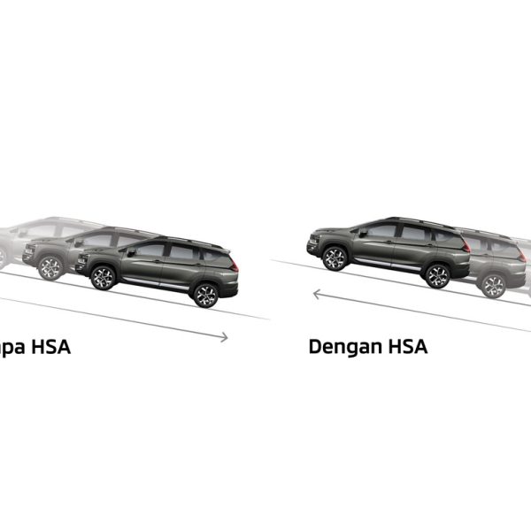 hsa-rev